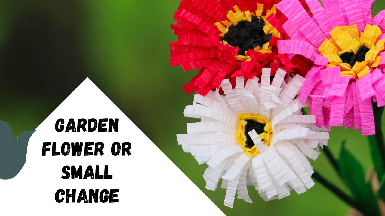 garden flower or small change