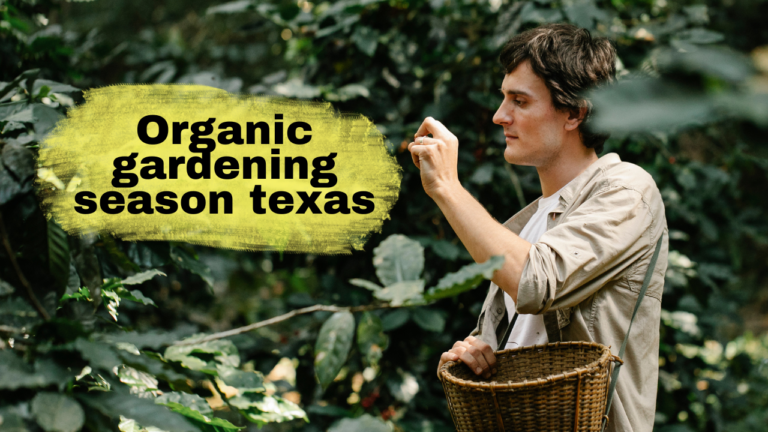 Organic gardening season texas