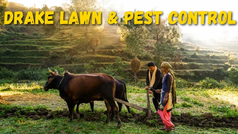 drake lawn & pest control