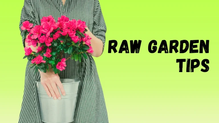 Raw garden tips by xyroneet