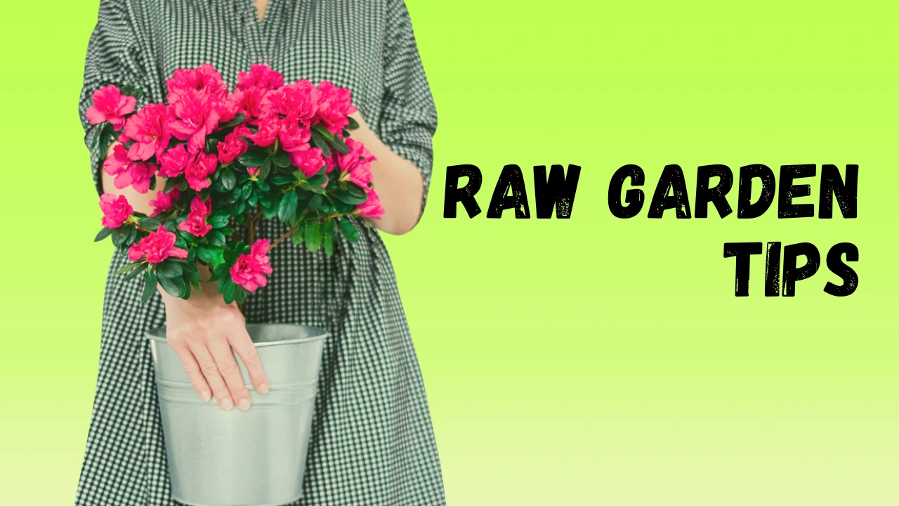 Raw garden tips by xyroneet