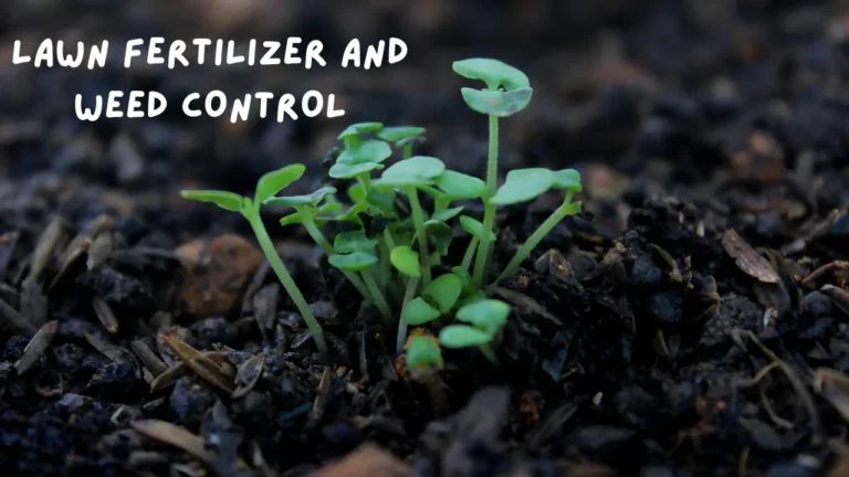 lawn fertilizer and weed control