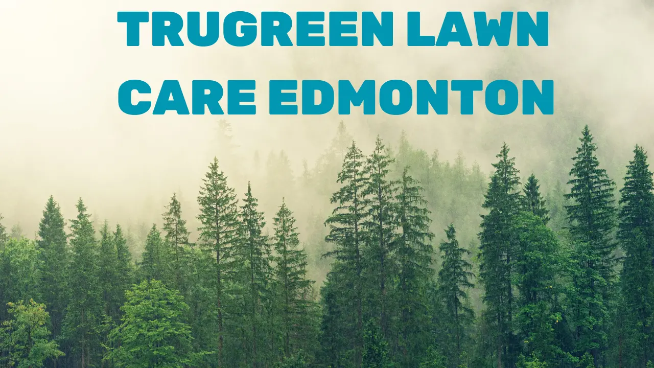 trugreen lawn care edmonton